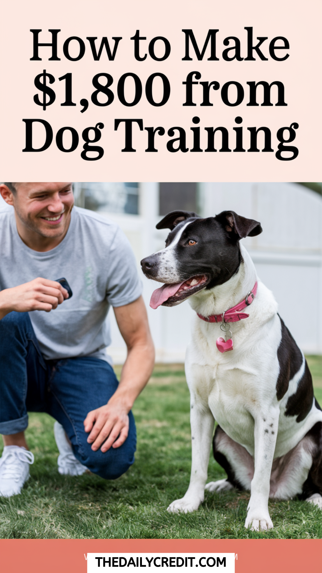 How to Make 1800$ from Dog Training